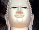 bh 85 thai 800