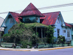 27 in need of a haircut in san jose  costa rica 800