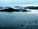 30 looking out to sea in south korea 800