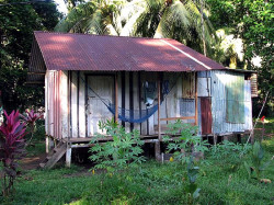 35 humble residence in tortuguero  costa rica 800