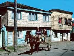 59 cedar homes on chiloe island  chile 800