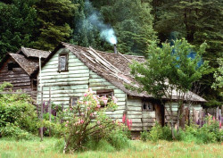 71 in the hills of southern chile 800