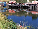 80 homes on an inlet near puerto montt  chile 800