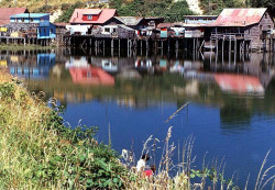 80 homes on an inlet near puerto montt  chile 800