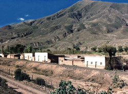 17 row homes in the desert of northern argentina 800