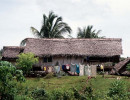 34 thatched roof home in port moresby  papua new guinea 800