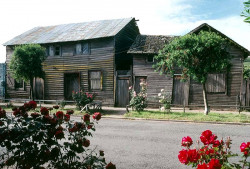 47 slightly twisted wooden home in san jose  costa rica 800