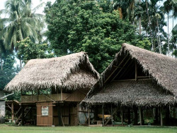 73 thatched home in papua new guinea 800