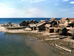 78 beach homes cebu island in the philippines 800