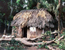 94 organic home in popua new guinea 800