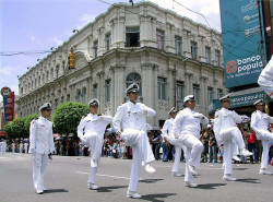 8 High stepping in San Jose Costa Rica 800