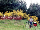 20 Lake Taupo Forest Tribal Lands 800