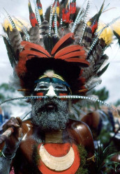 26 Warrior adorned with Birds of Paradise Head Dress 800