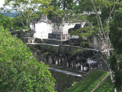 27 glimpse of tikals maya ruins through the trees