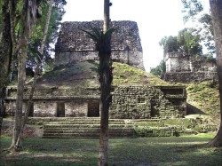 35 one of the mayan temples around tikal national park