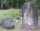 38 mayan stone carvings found at tikal