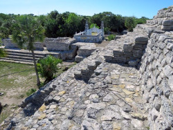 xcampo