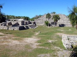 xcampo